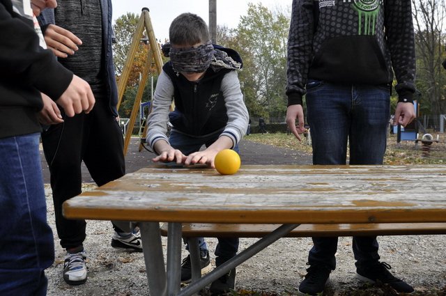 csibetábor az aranyban 11